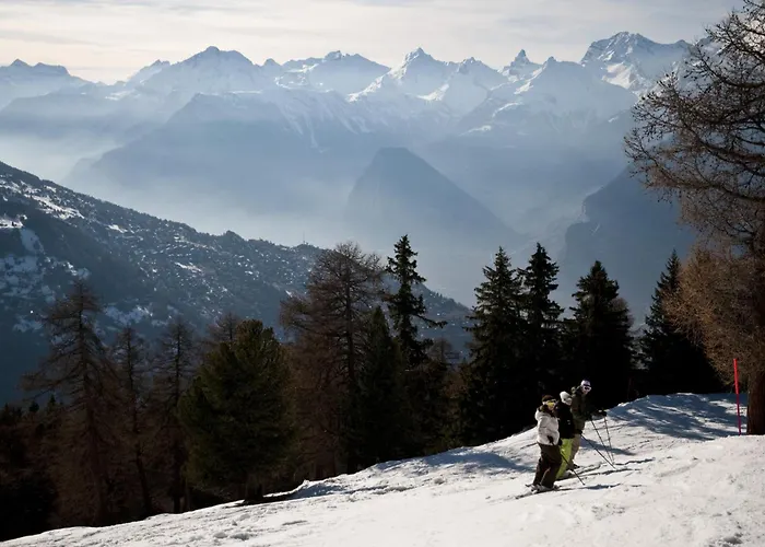 Bellevue L 013 - Pleasant 4 Pers 아파트 베이소나츠